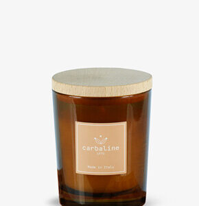 Цветы пустыни