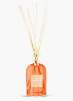 Камелия и грейпфрут